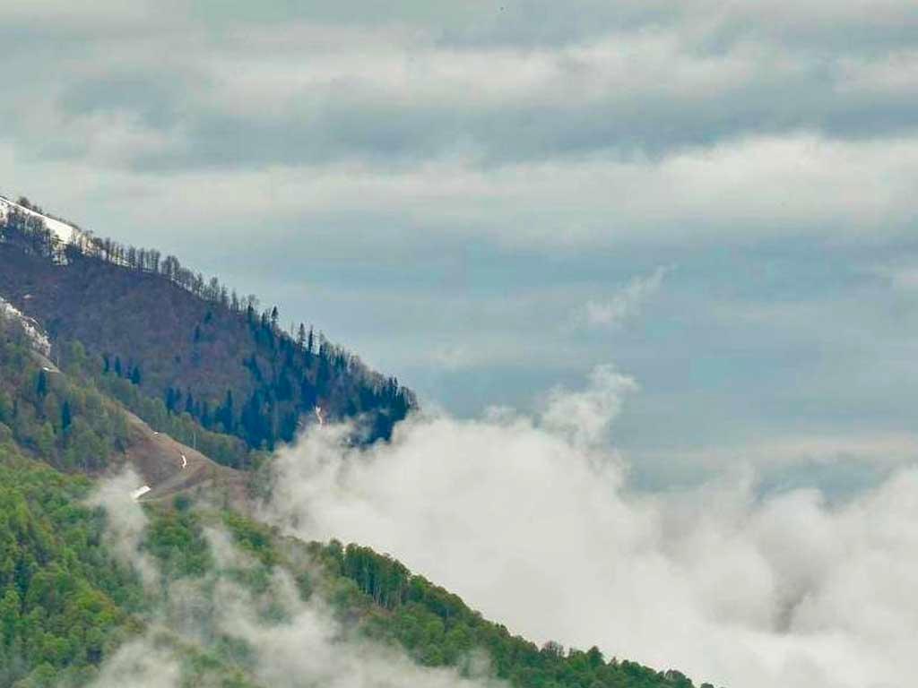 В ближайшие сутки в Сочи ожидается туман