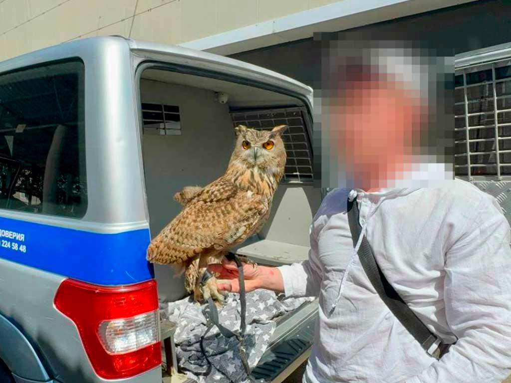 Приезжий с хищными птицами: В Адлере пресекли незаконный бизнес