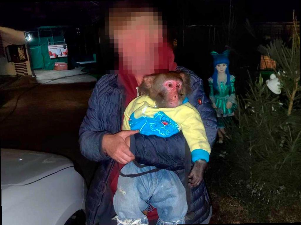 В Сочи запретят содержать определенных животных дома