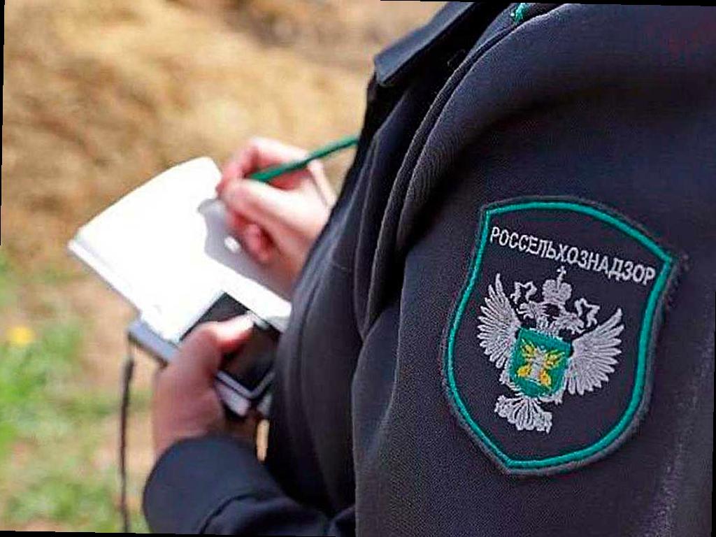 В Адыгее выявлены 7 зон распространения опасного сорняка