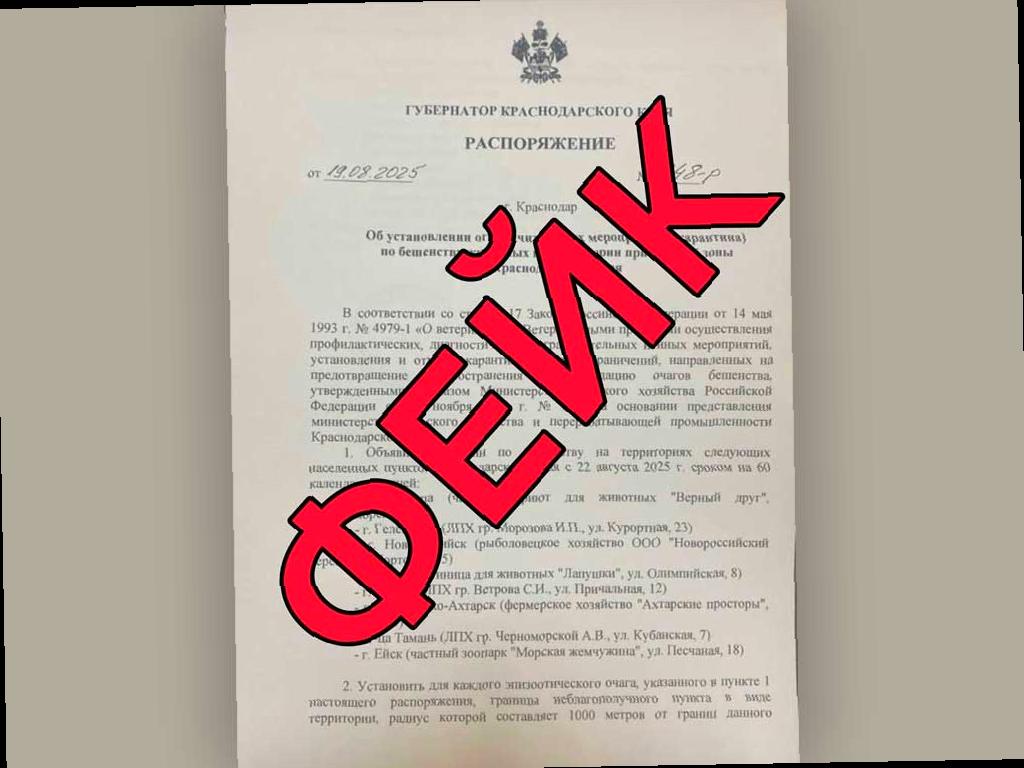 Карантин по бешенству у животных на побережье Кубани — фейк!