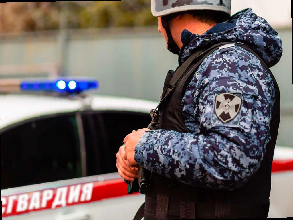 Полиция и Росгвардия разгромили массовую драку в Адлере