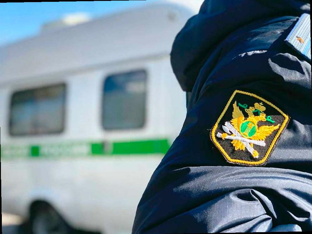 Криптовалюта не помогла: приставы в Краснодарском крае списали 1,7 миллиона рублей с криптокошелька алиментщика