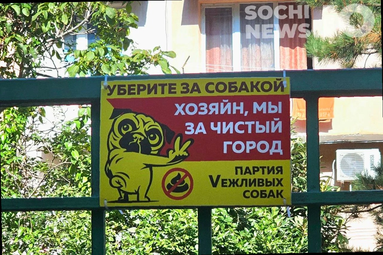 В России вводят новые стандарты для выгула собак