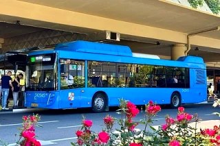 Круглосуточное движение автобуса № 105А начнётся в Сочи с 1 июня