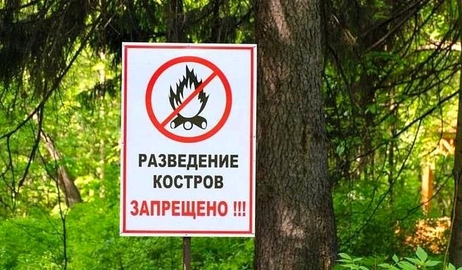 Борьба с американской белой бабочкой началась в Сочи