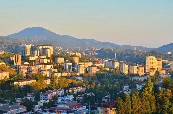 Контроль за несанкционированной торговлей в Сочи принес 23,5 миллиона рублей