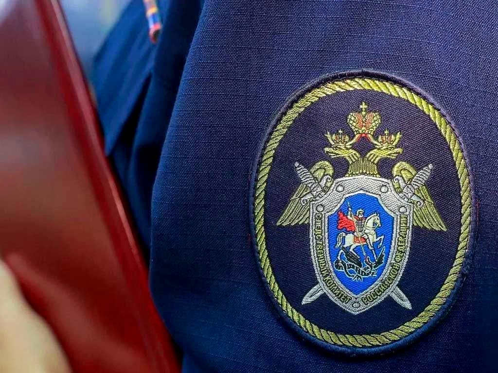 Следователи подтвердили вину сторонника запрещённой идеологии