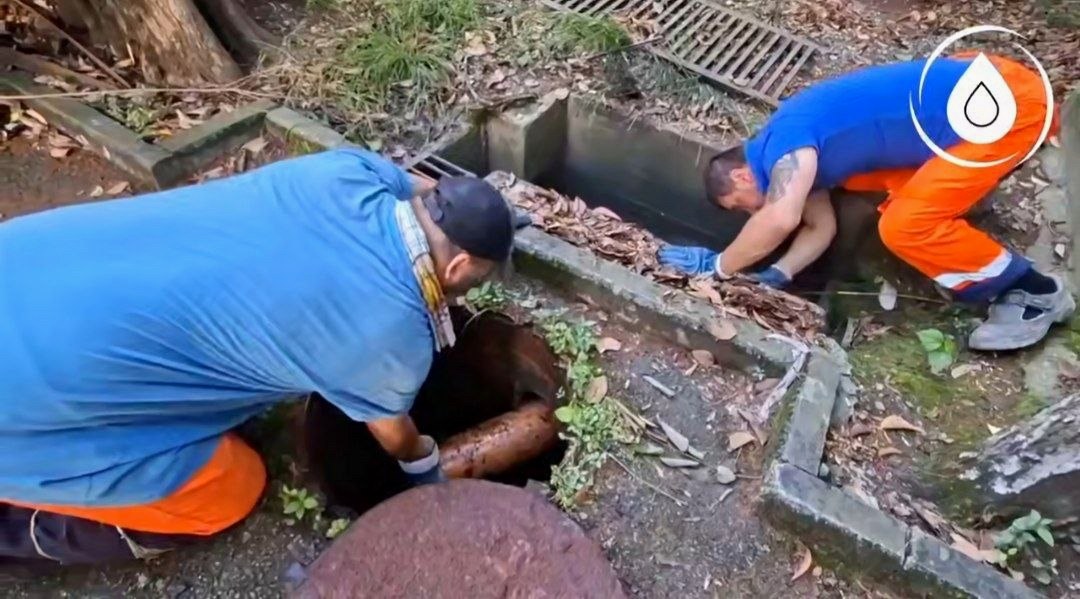В Сочи «Водоканал» выявил незаконное подключение ливневой канализации к бытовой системе