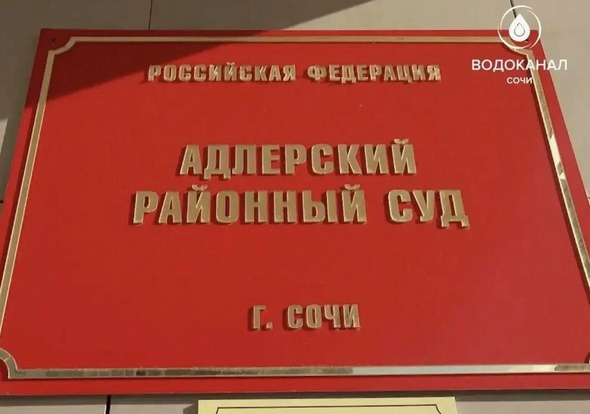 Жительницу Сочи арестовали на 15 суток и оштрафовали на 50 тысяч рублей
